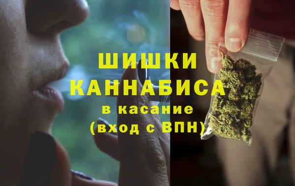 apvp Костерёво