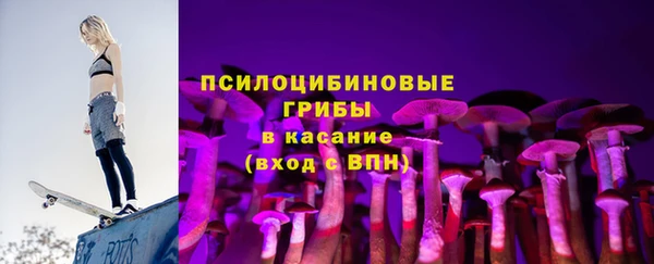apvp Костерёво