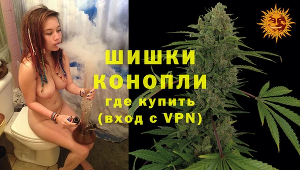 тгк Коряжма