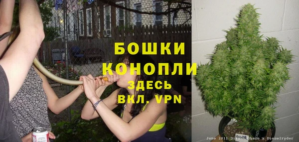 apvp Костерёво