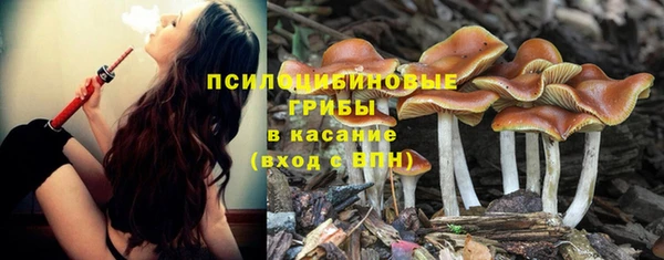 apvp Костерёво