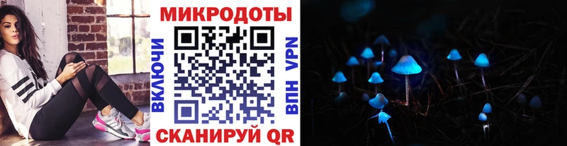 наркотики  Окуловка  Галлюциногенные грибы Psilocybe 